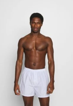 Pier One 5 PACK - Boxershorts - Light Blue/white 11 Pier One 5 PACK - Boxershorts - Light Blue/white -Pier One Store 139342f1516744e4937742c5f01eeccb