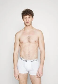 Pier One 5 PACK - Panties - White/pink/light Blue 11 Pier One 5 PACK - Panties - White/pink/light Blue -Pier One Store 3721024dbc554890a6059d1e8168907f