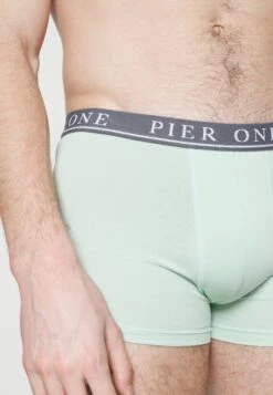 Pier One 5 PACK - Panties - Beige/light Green/black 13 Pier One 5 PACK - Panties - Beige/light Green/black -Pier One Store 56b1c715844d42658de4fa4e1d223916