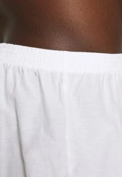 Pier One 5 PACK - Boxershorts - Light Blue/white 13 Pier One 5 PACK - Boxershorts - Light Blue/white -Pier One Store 8e2664e226c041628a342c1ad591e54d